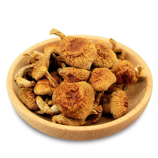 亚布力东北榛蘑生态特产干货蘑菇菌菇