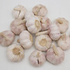 有机大蒜500g/箱（有机蔬菜、中国有机认证） 商品缩略图3