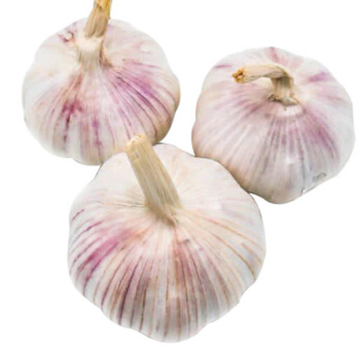 有机大蒜500g/箱（有机蔬菜、中国有机认证） 商品图1