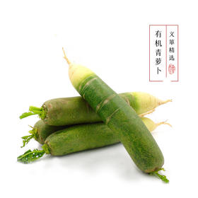 有机青萝卜 500g（有机蔬菜、中国有机认证）