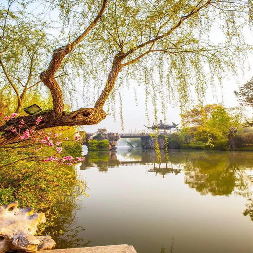 4.11号【扬州兴化 立减30元】兴化油菜花、李中水上森林、瘦西湖、何园~江南何处寻春迹？还需下扬州 商品图7