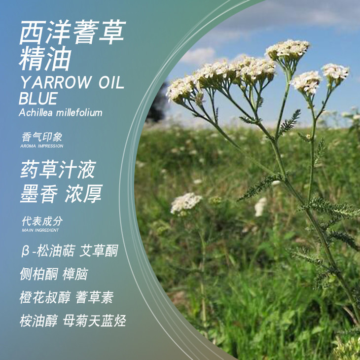 satya西洋蓍草精油5ml单方精油