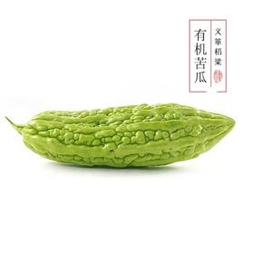 有机苦瓜 500g/箱（有机蔬菜、中国有机认证）