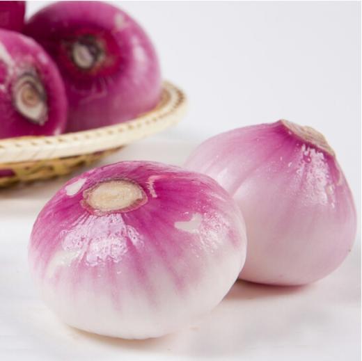 有机洋葱 500g/箱（有机蔬菜、中国有机认证） 商品图1