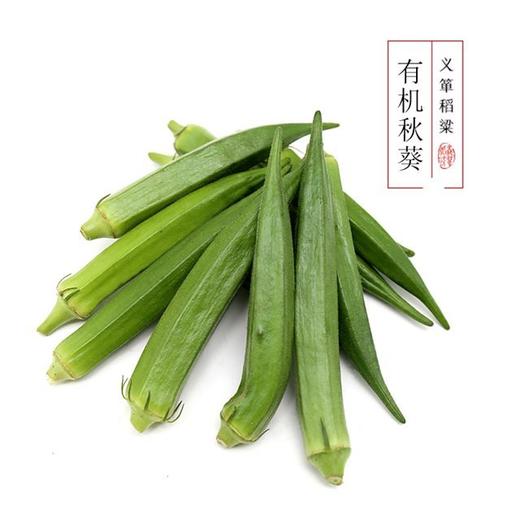 有机蔬菜  有机秋葵500g/箱（有机蔬菜、中国有机认证） 商品图0