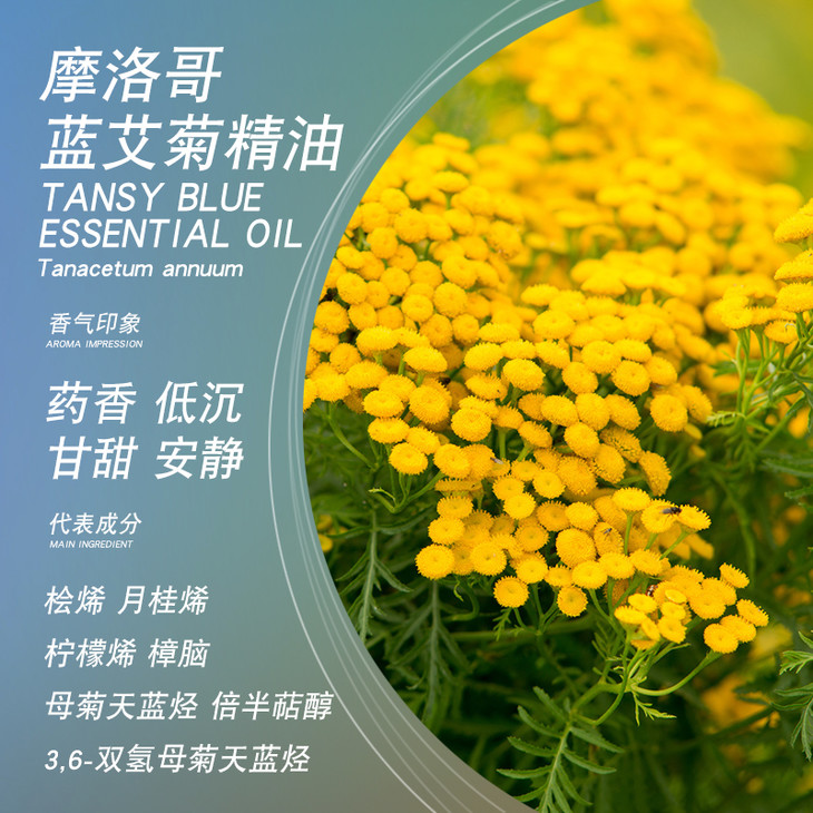 satya摩洛哥蓝艾菊精油5ml富含母菊天蓝烃单方精油