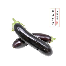 有机茄子 500g/箱（有机蔬菜、中国有机认证）