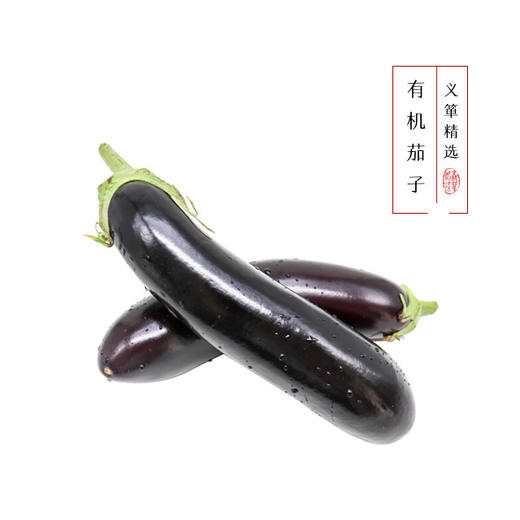 有机茄子 500g/箱（有机蔬菜、中国有机认证） 商品图0