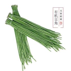 有机豆角500g/箱（有机蔬菜、中国有机认证）