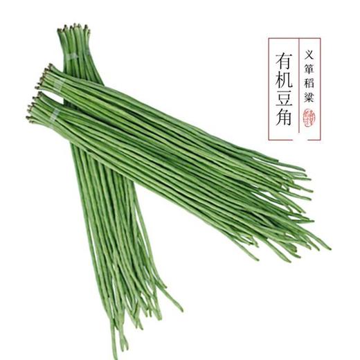 有机豆角500g/箱（有机蔬菜、中国有机认证） 商品图0