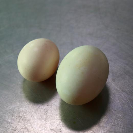 生态鸭蛋（绿家自产 ）| Eco-duck egg | Self-production 商品图1