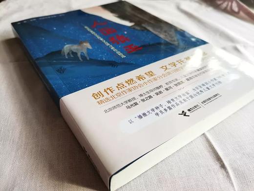 人面狼王 7-14岁小说创作 童话故事讲习班 少儿文学 商品图2