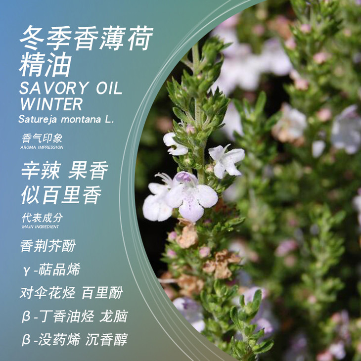 satya奥地利冬季香薄荷精油5ml单方精油