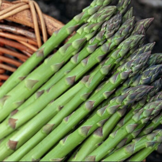 有机芦笋 500g/箱（有机蔬菜、中国有机认证） 商品图1