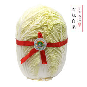 有机胶州大白菜4kg/礼盒装（有机蔬菜、中国有机认证）