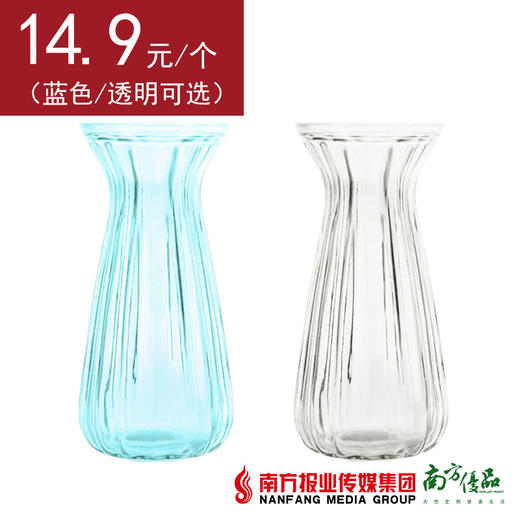 【次日提货】玻璃花瓶  1个 商品图0
