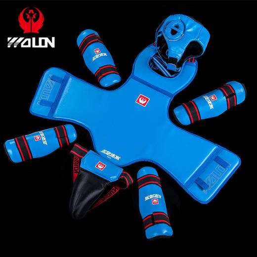五龙散打护具全套成人儿童泰拳拳击护具护腿护胸格斗搏击训练套装 商品图2