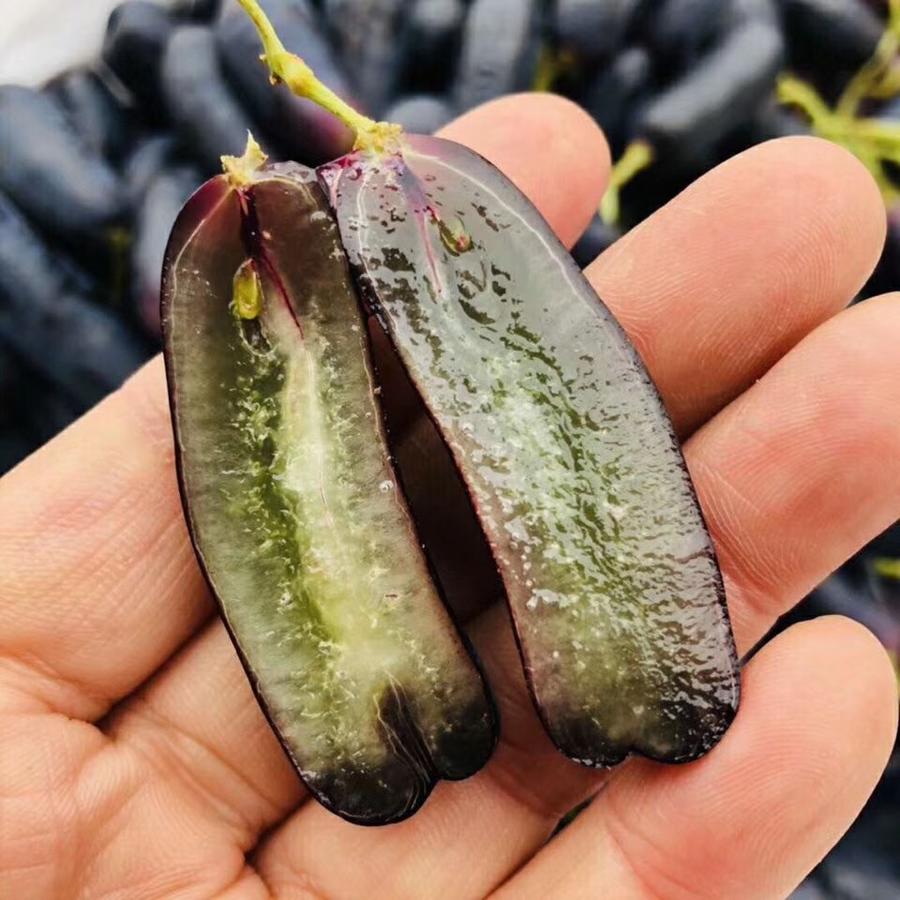 澳洲金手指黑提子:澳洲金手指无籽黑提稀有珍贵品种 皮薄肉脆 果皮