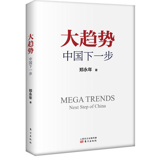 《大趋势：中国下一步》中国问题研究专家郑永年，政治经济 中国研究 商品图0