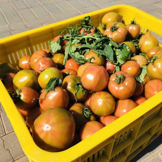 丑甜柿，柿味浓郁，甜度高，有香气，适合生吃，吃着上瘾，个头大小不一。全程有机肥（豆粕+羊粪+海藻/鱼蛋白等混配）培育，产量低，但口感超棒。生态种植，安全无农残。 商品图3