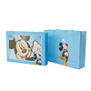 迪士尼双层云毯礼盒装  柔软顺滑 舒爽透气 商品缩略图3