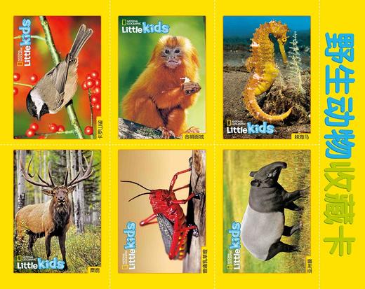 环球少年地理（幼儿版）精选集【二】 商品图3