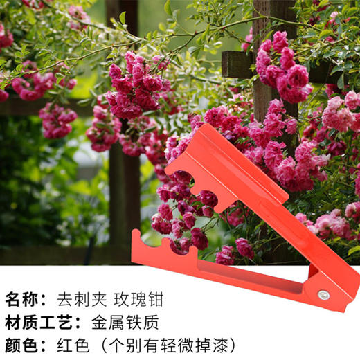 【工具】铁艺玫瑰打刺钳 商品图1