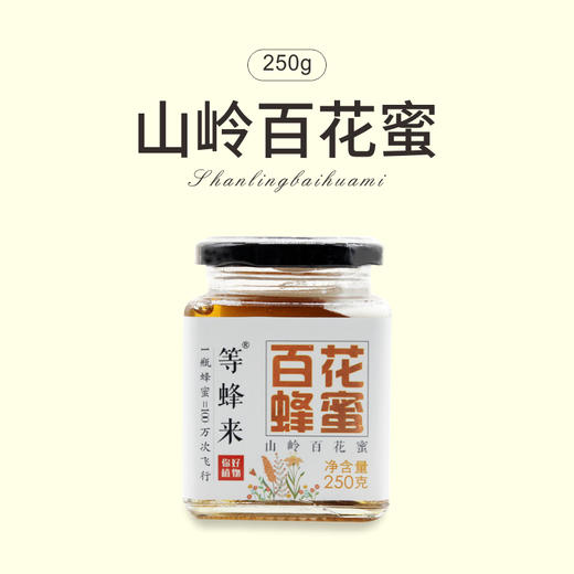 【山岭百花蜜】等蜂来蜂蜜 天然山岭百花蜜250g绽放装，来自秦岭青藏高原 商品图0