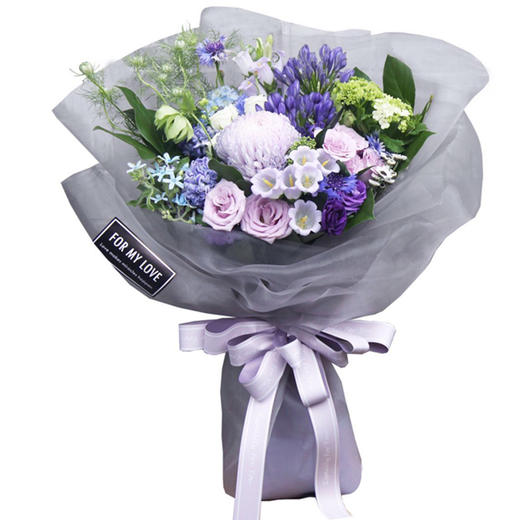 CA月影纱 商品图1