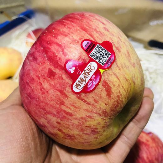 新疆阿克苏苹果 商品图0