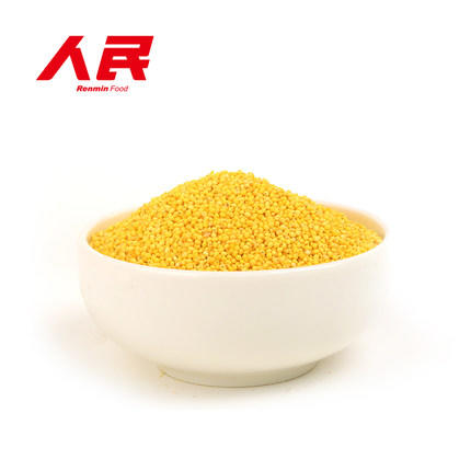 人民大真空黄河油小米500g 商品图2