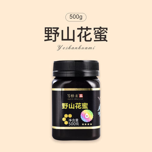 【野山花蜜】等蜂来天然野山花蜂蜜500g家庭装 商品图0