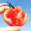 普罗旺斯西红柿 小时候的味道  肥厚多汁 现摘现发 商品缩略图0