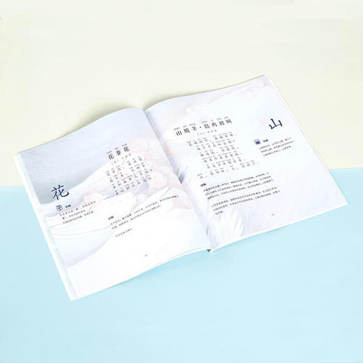 (永久下架)读古诗学汉字 商品图5