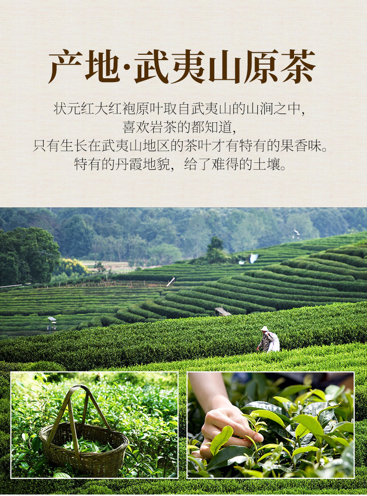 宝城状元红武夷大红袍茶叶125g盒装a928