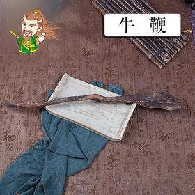 中药材批发 牛鞭 1条