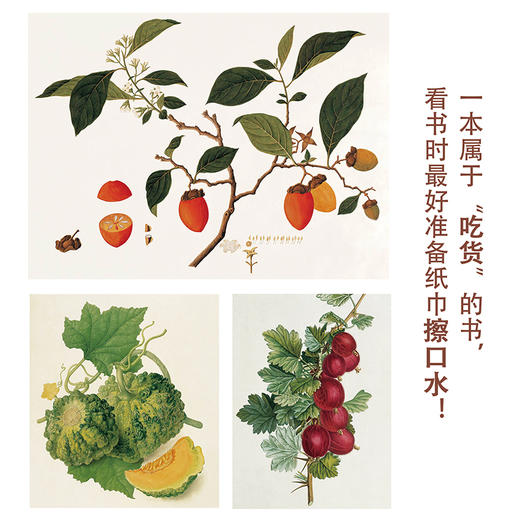 水果：一部图文史  商务印书馆 商品图4