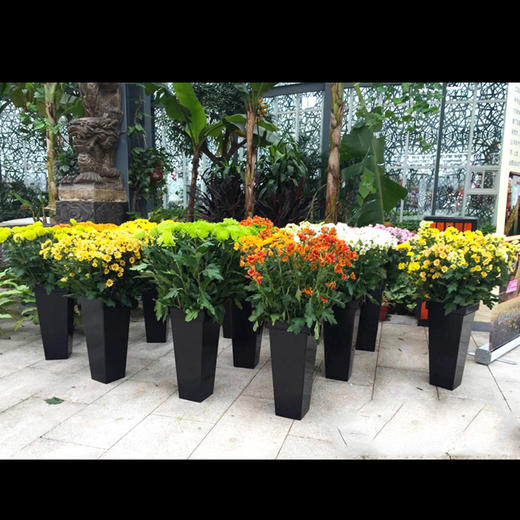 【琳琅】塑料方形养花桶 商品图7