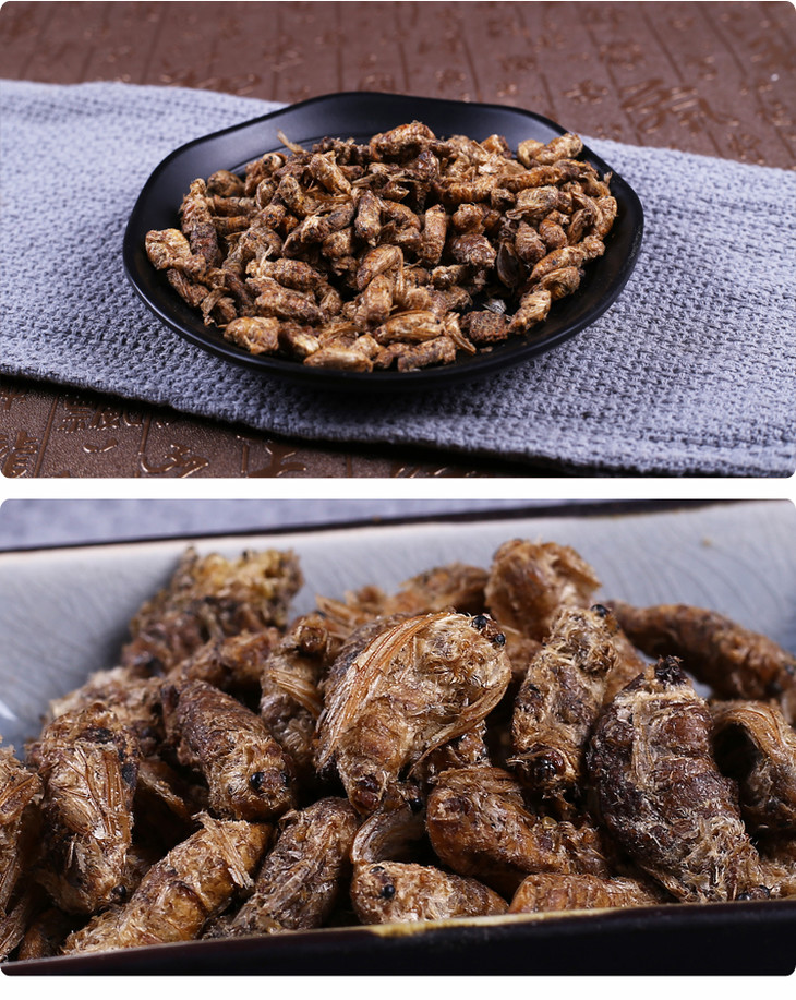 中药材批发雄蚕蛾1000克500克