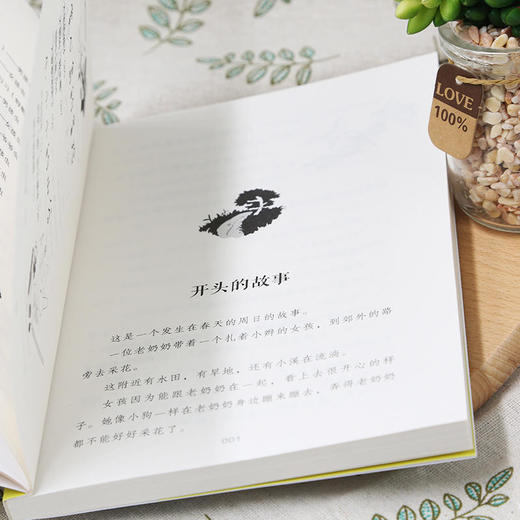 掌心岛在哪里 日本经典儿童文学作品 “谁也不知道的小小国系列”灵感源泉 佐藤晓 商品图2