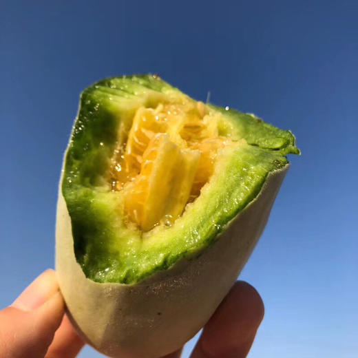 山东潍坊老品种一级羊角蜜 净果2.8-3斤/4.3-4.5斤 商品图8