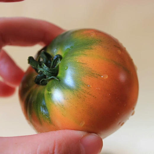 【辽宁•碱地草莓柿子】 酸酸甜甜的油柿子 营养美味 商品图2