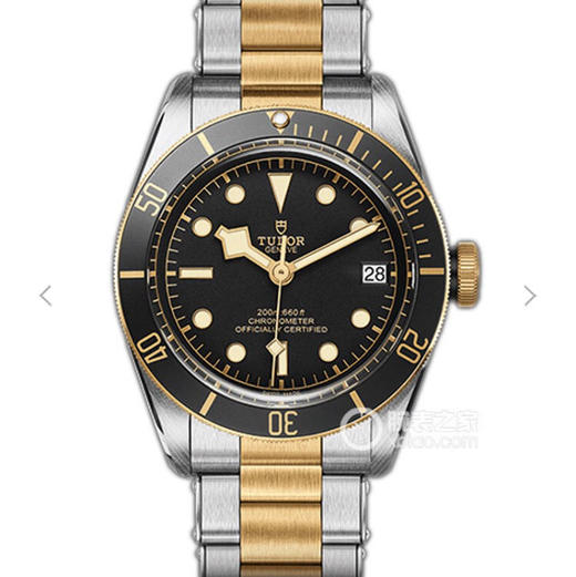 ZF帝舵启承系列79733N，原装开模，99％还原正品，41毫米直径，2836瑞士机械自动机芯，表壳材质：不锈钢和镀金，磨光，磨砂；单向旋转 商品图0