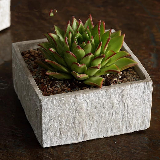 水泥花瓶系列 商品图0