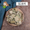 中药材批发   银杏叶 山东  1000克/500克 商品缩略图0