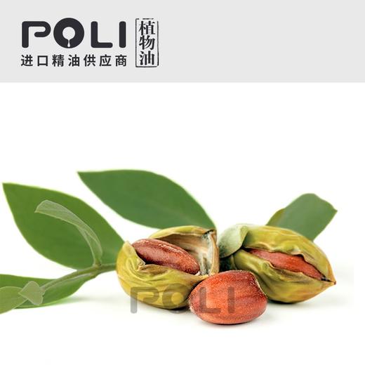 法国荷荷巴油冷压初榨