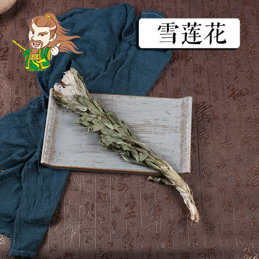 中药材批发  雪莲花新疆    一支 商品图0