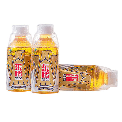 东鹏特饮250ML*24瓶 商品图1