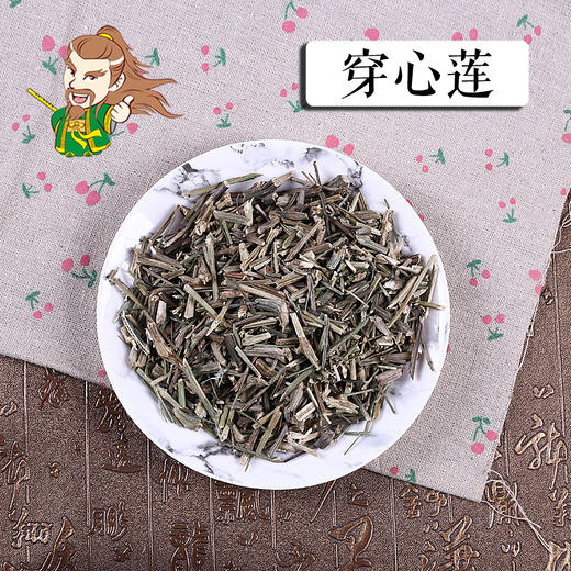 中药材批发 穿心莲 广西 1000克/500克 商品图0