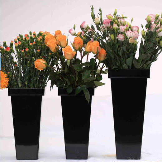 【琳琅】塑料方形养花桶 商品图5